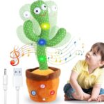 Talking Cactus